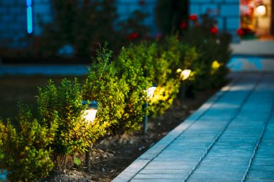 Garden Path Lighting